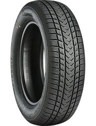 205/45VR17 GRIPMAX TL SUREGRIP eWINTER XL        (NEU) 88V