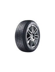 195/65HR15  SUNNY TL NW611                       (NEU) 91H