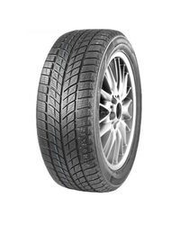 DOUBLESTAR WINTERKING DW09 235/55R20 102H