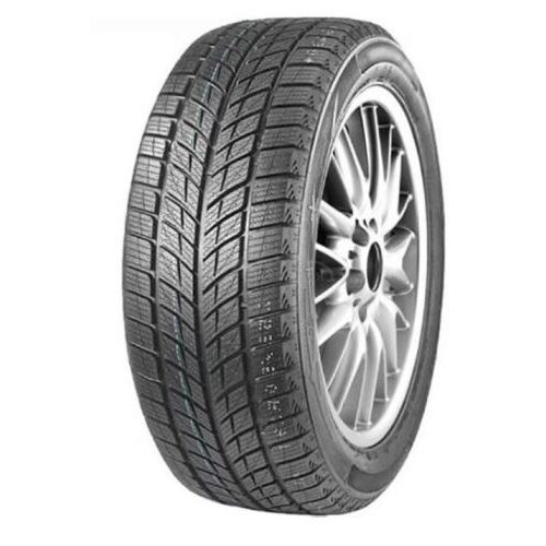DOUBLESTAR WINTERKING DW09 235/55R20 102H