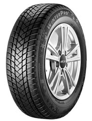 GT Radial WINTERPRO2 205/55R17 95H