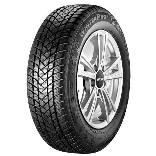 GT Radial WINTERPRO2 205/55R17 95H