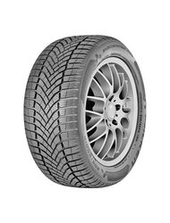 Falken EUROWINTER HS02 205/50R17 93V
