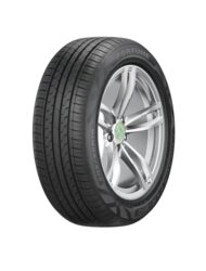 205/55 R16 FORTUNE FUNRUN FSR-802 91V  (C,B,69)