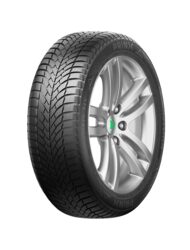 225/55 R19 PRINX EXCELIA 103W  (C,B,72)
