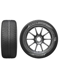 245/35 R20 YOKOHAMA ADVAN WINTER V907 95W  (D,B,71)