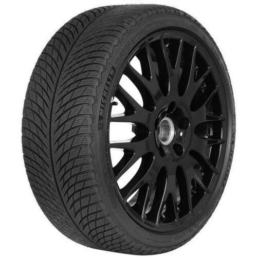 315/30R21 105V PILOT ALPIN 5 XL NA6 MS 3PMSF (E-5.9) MICHELIN