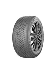 Anvelopa Iarna ROADX Frost 205/55R16 91H/C/B/72dB(B)