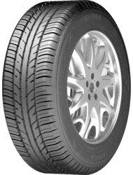 205/60 R16 ZEETEX WP1000 96H  (C,B,72)