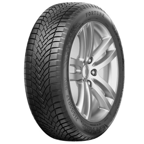 205/55 R16 FORTUNE NIVALIS WINTER PRO 94H  (D,C,72)