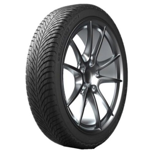 255/40VR19  MICHELIN TL PILOT ALPIN 5 XL          (EU)100V